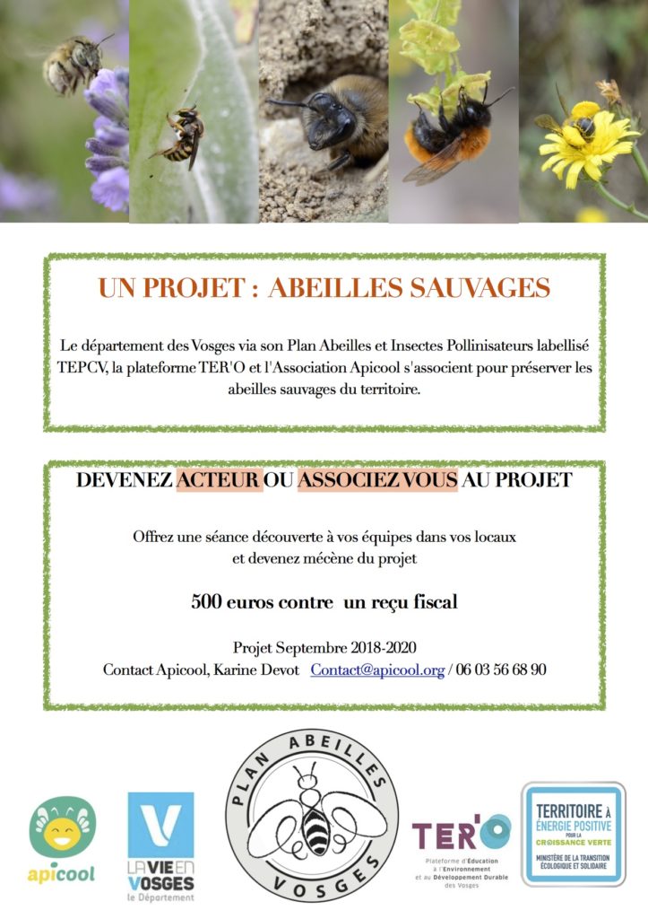 livre rencontre avec les abeilles