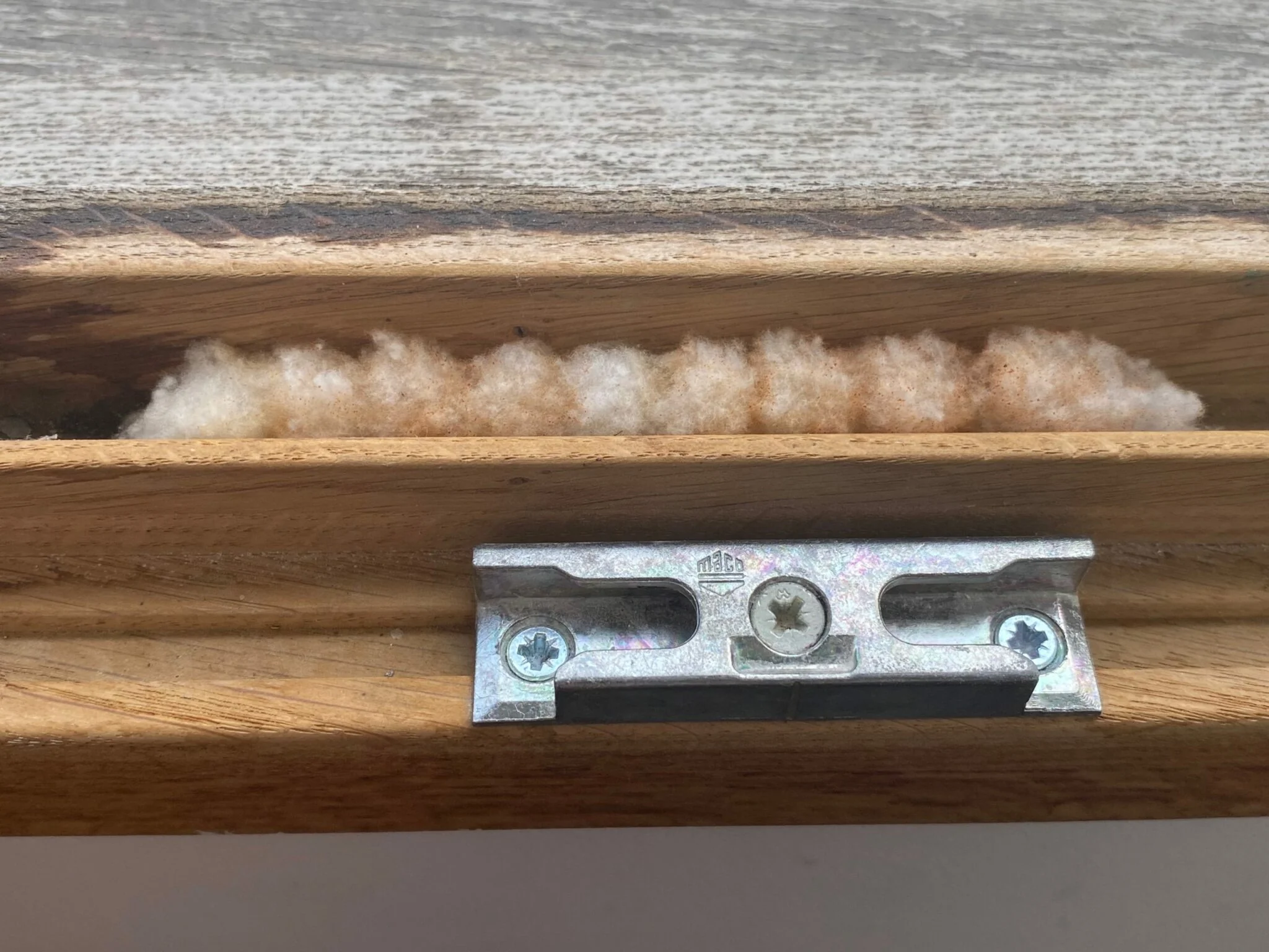 Abeilles sur rebord de fenêtre