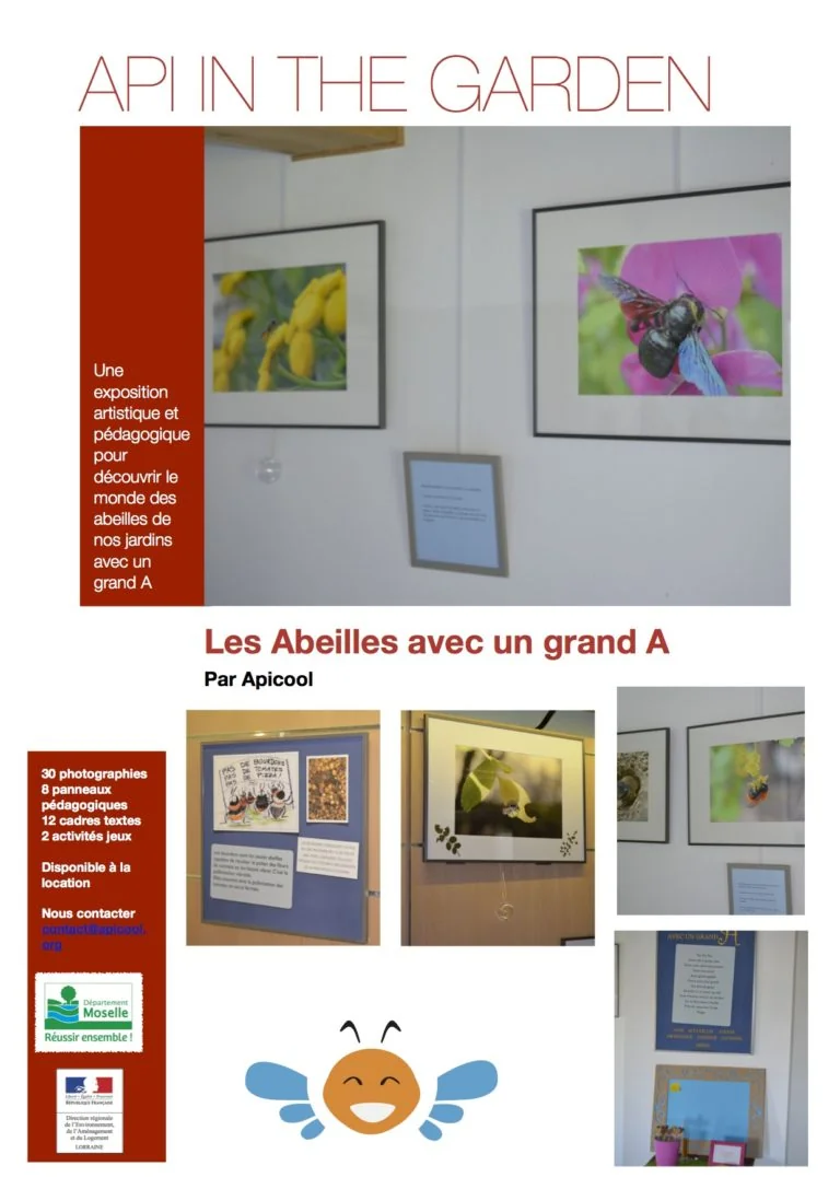 Exposition photo et médiation