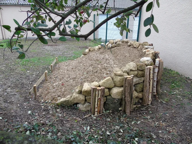 Micro-habitat en butte de terre