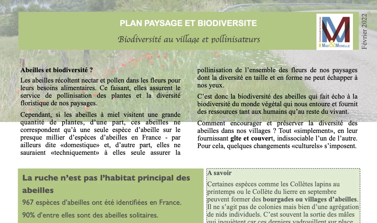 Action biodiversité en voirie