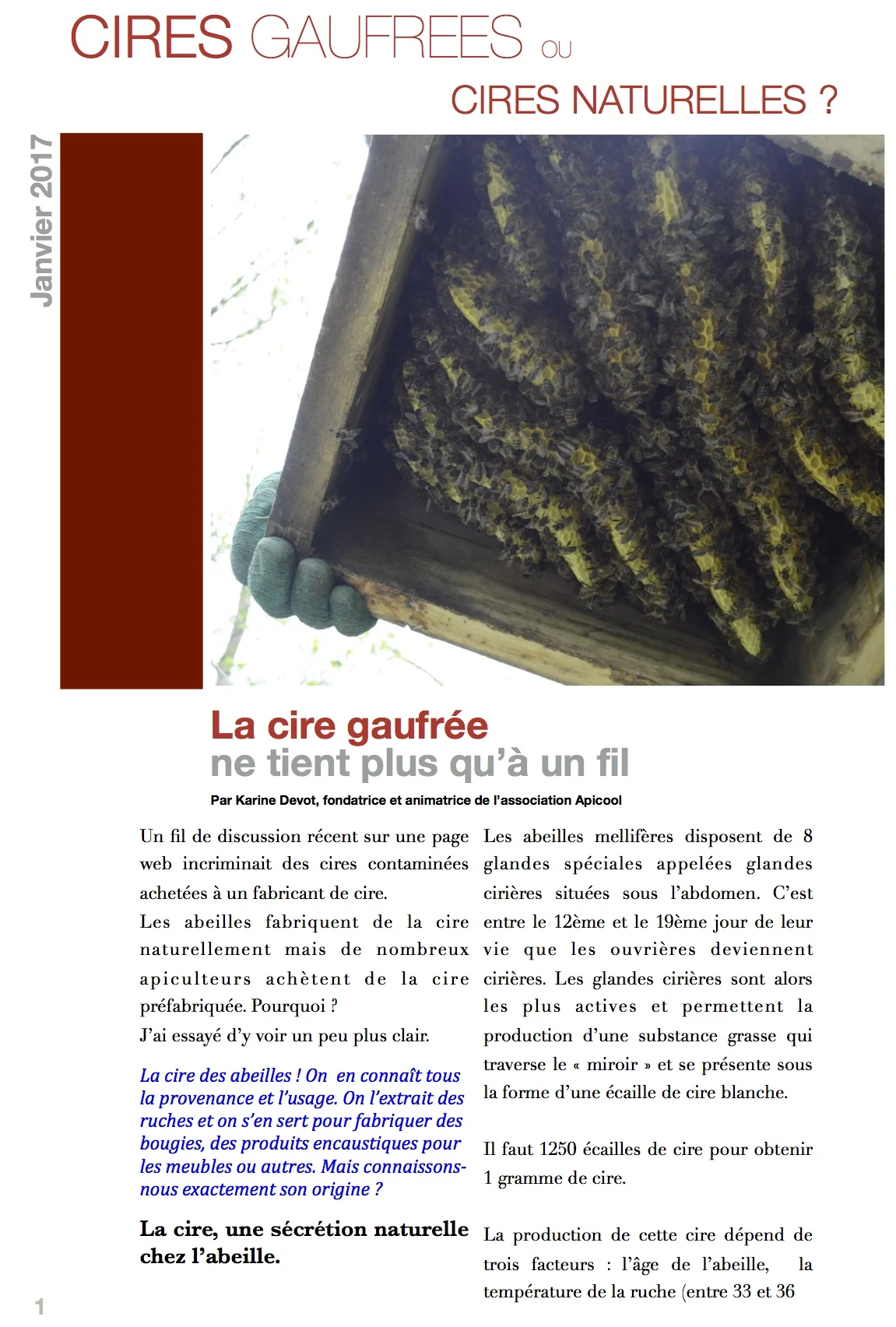 Matériau pédagogique : cire