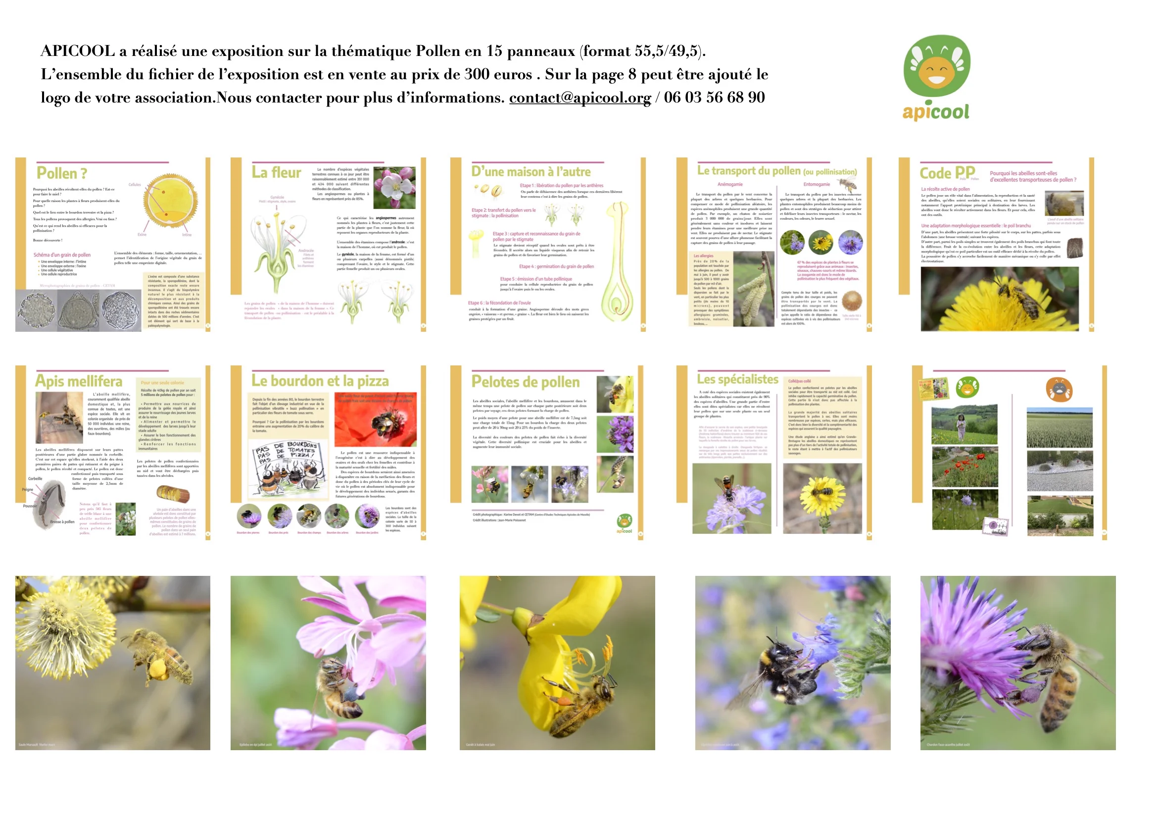 Exposition pollen - Vente fichiers