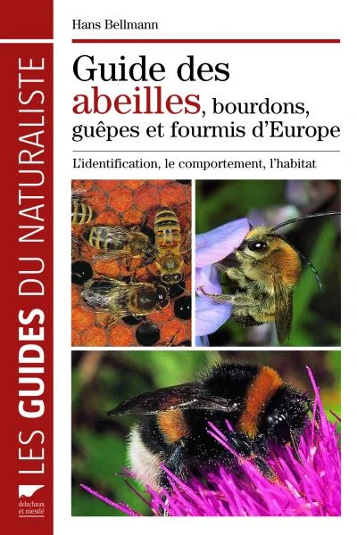 Référence pédagogique complémentaire