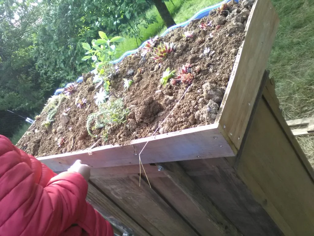 Photo d'atelier nature - séquence 1