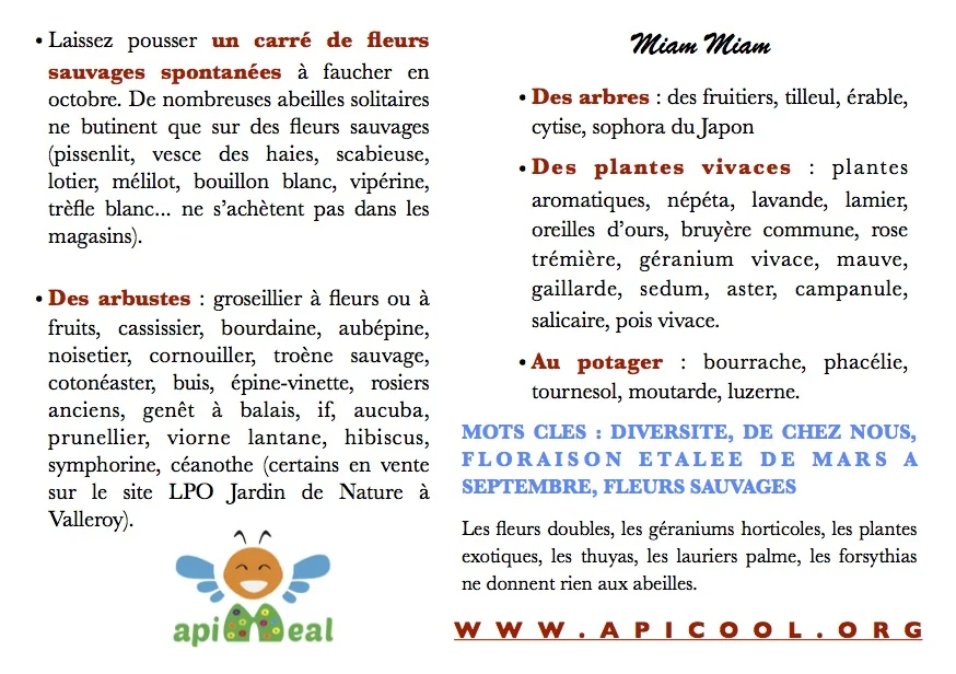 Plantes ressources : nectar et pollen