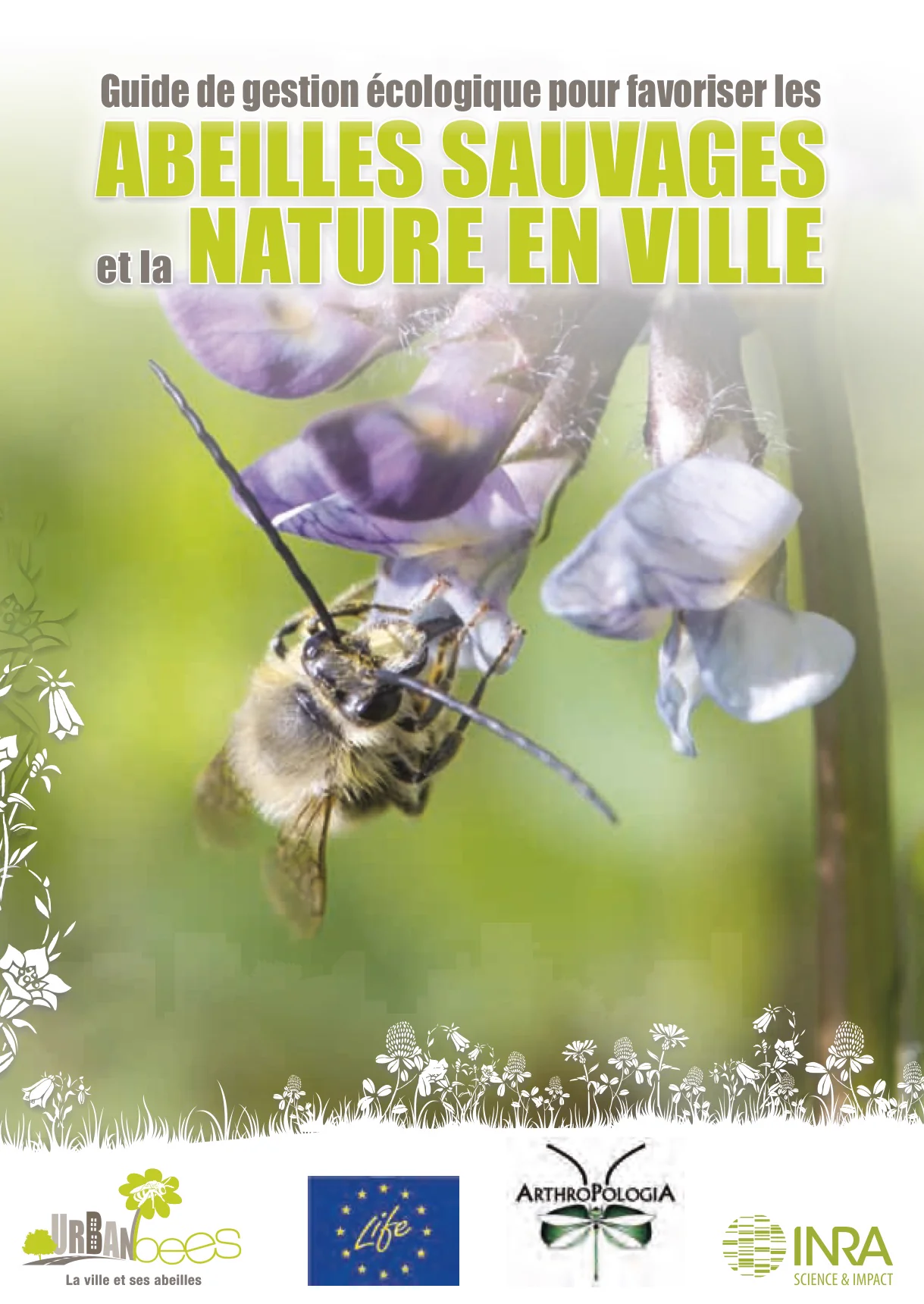 Urban Bees