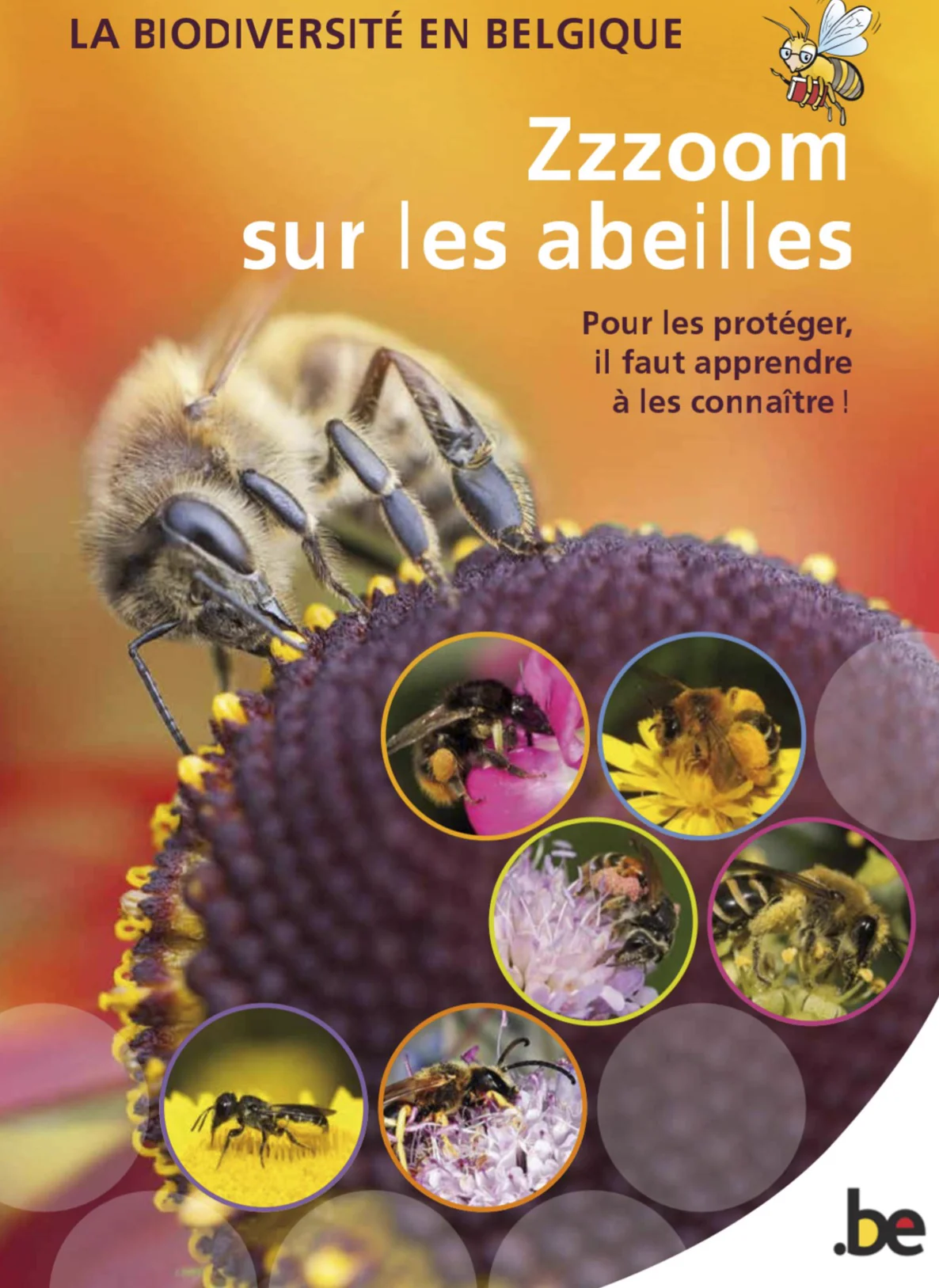 Padlet abeilles terricoles