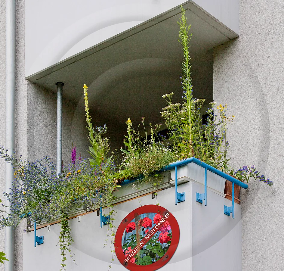 Balcon avec plantes mellifères