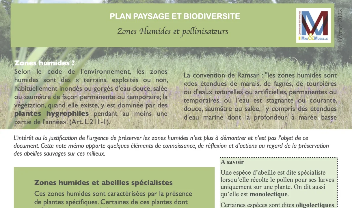 Zone humide et pollinisateurs