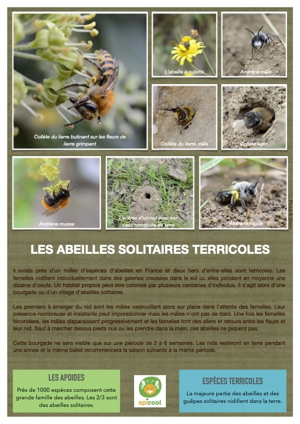 Panneau d'information terrain