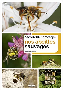 Document d'animation sur les insectes