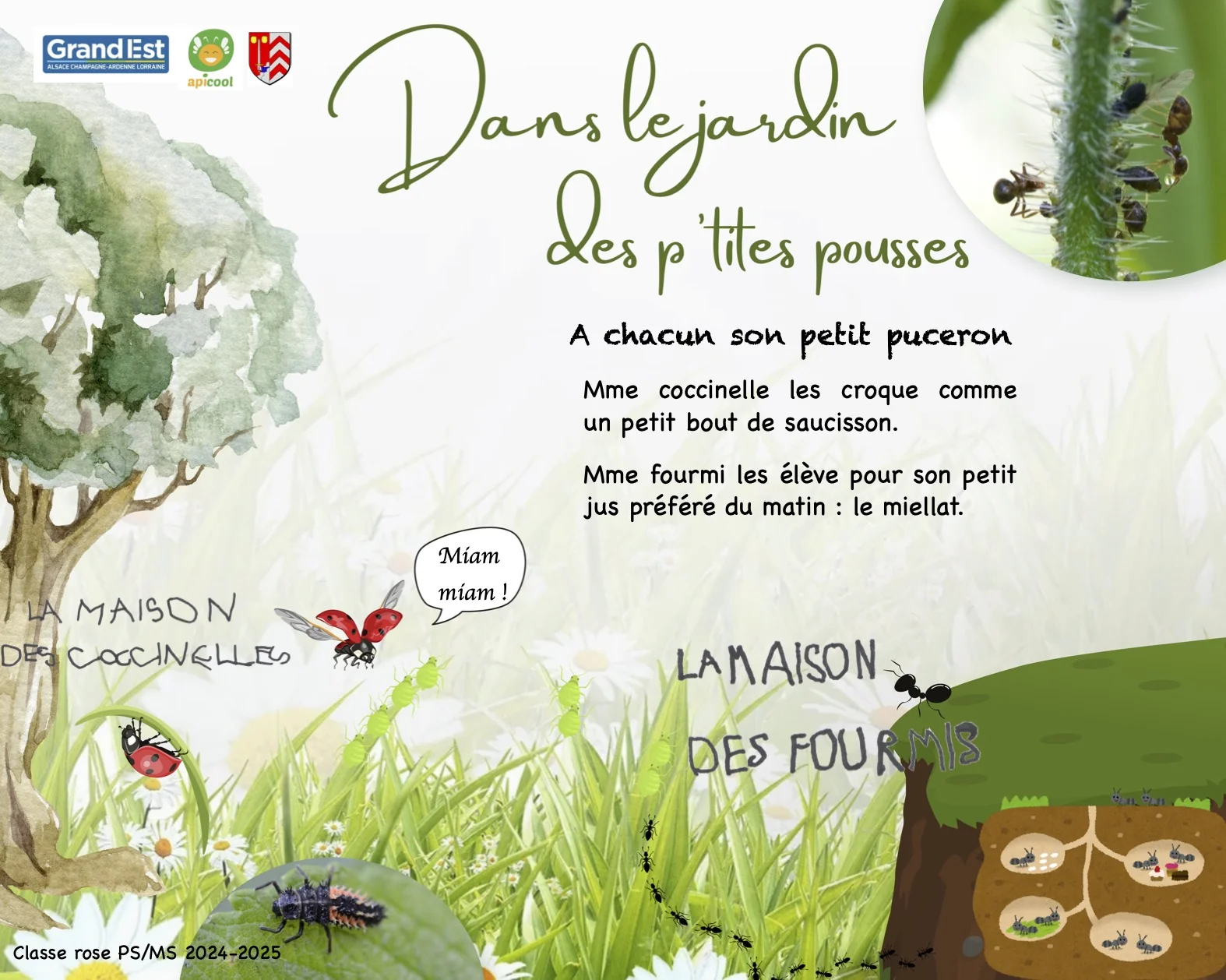 Le potager vivant
