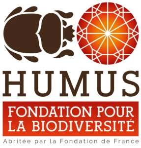 Logo Humus